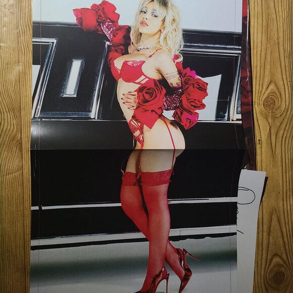 Doja Cat "Vie" Vinyl with signed print - Picture 6 of 7